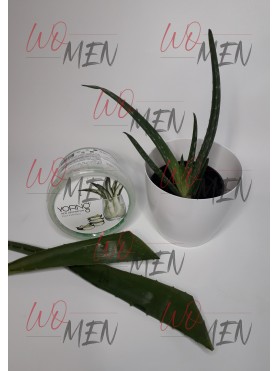 Aloe vera gēls ar dziedinošo pieskārienu