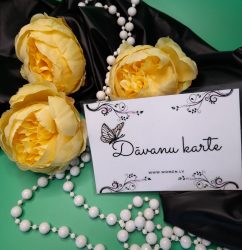 Dāvanu karte 100 euro