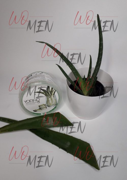 Aloe vera gēls ar dziedinošo pieskārienu